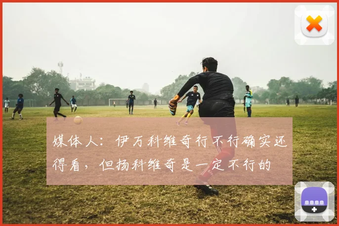媒体人：伊万科维奇行不行确实还得看，但扬科维奇是一定不行的