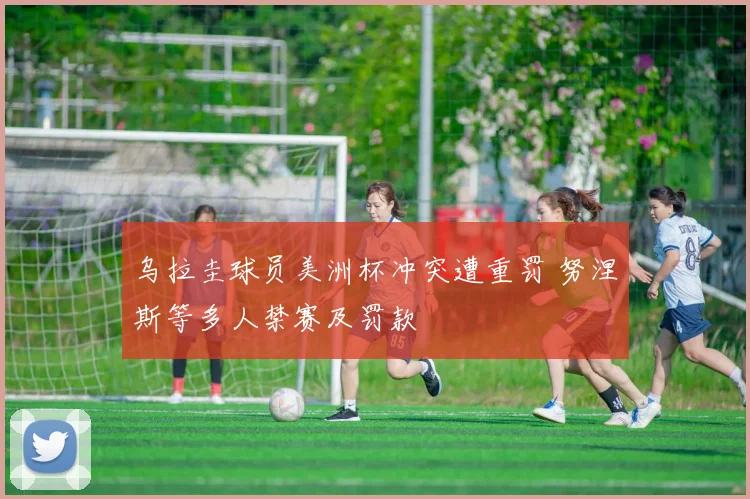 乌拉圭球员美洲杯冲突遭重罚 努涅斯等多人禁赛及罚款