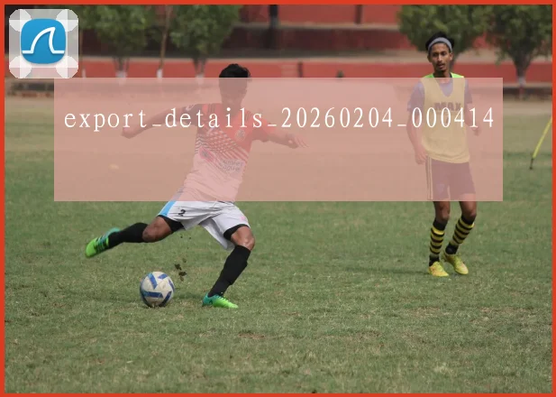 export_details_20260204_000414