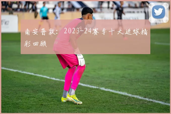 南安普敦：2023-24赛季十大进球精彩回顾