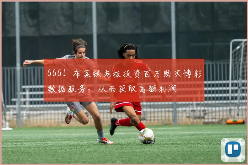 666！布莱顿老板投资百万购买博彩数据服务，从而获取高额利润